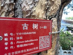 -潭柘寺景区