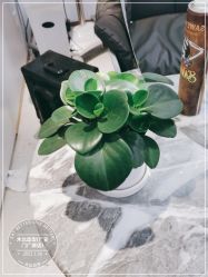 -木北造型