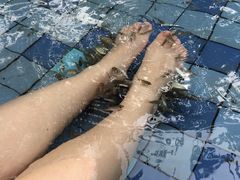 -江门古兜温泉小镇