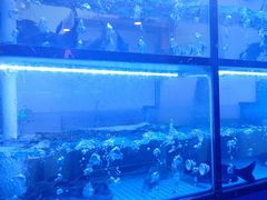 -云中鱼蒸汽石锅鱼(川沙百联店)