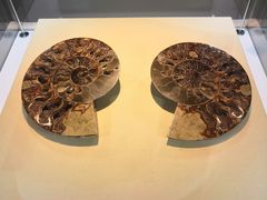 -西涌国际滨海旅游区