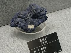 -甘肃地质博物馆