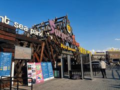 -北戴河碧螺塔海上酒吧公园