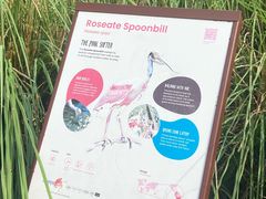 -新加坡飞禽公园