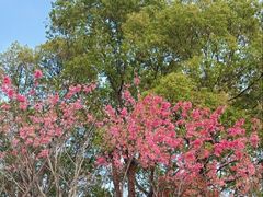 -梁鸿国家湿地公园