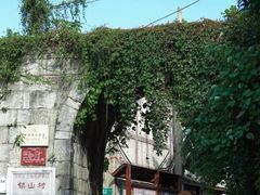 -杨家堂村