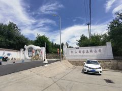 -红山国家森林公园