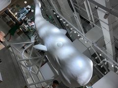-OCE(熙地港购物中心店)