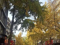 -奎星楼街