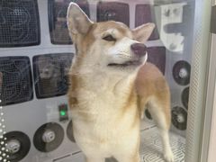-FAELING PETS美天灵宠物(富力广场店)