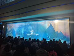 -海合安成都极地海洋公园