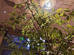 -墨纪Mojí墨西哥餐厅(官舍店)