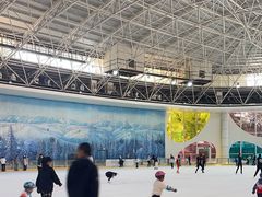 -世界之窗阿尔卑斯冰雪世界