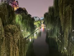 -环城公园