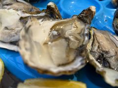 -NORDSEE Frankfurt Fisch Franke