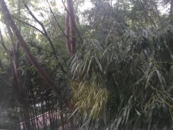-馨月汇·一悦馨香月子中心(前滩店)
