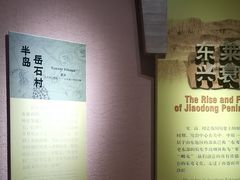 -烟台市博物馆