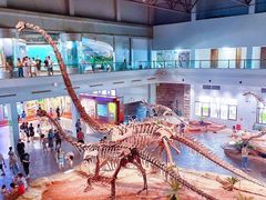 -自贡恐龙博物馆