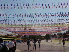 -武清南湖绿博园