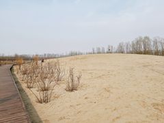 -东郊湿地公园