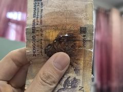 -武汉紫薇都市田园