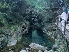 -大奇山国家森林公园