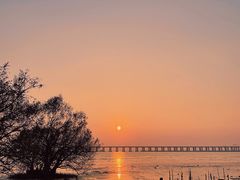 -宝安西湾红树林湿地公园