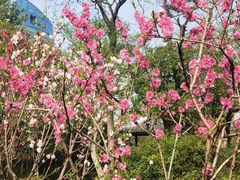 -无锡蠡湖国家湿地公园-蠡园