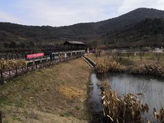 -石塘人家
