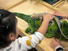 -FAIRYLAND龙族星球主题餐厅(凯丹广场店)