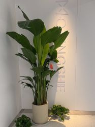 -魔型社烫染店