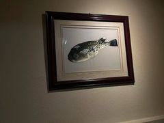 -天正河鲀·河豚亭(大连店)