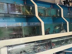 -原龙海鲜大排档(美食地标店)