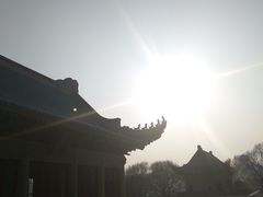 -武汉大学-樱园