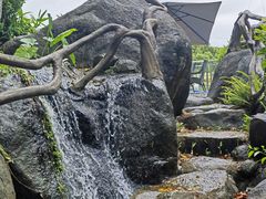 -龙佳生态温泉山庄
