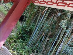 -广州市帽峰山景区