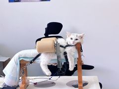 -派美特宠物医院·核磁CT·骨科肿瘤·疑难转诊(沈农禾丰店)