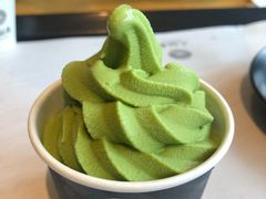-雪绿茶博物馆