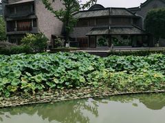 -龙潭水乡
