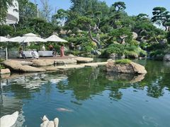 -罗红摄影艺术馆