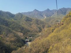 -栾川竹海野生动物园