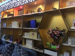 -归真美学颜究中心