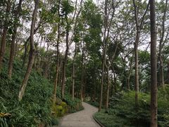 -重庆彩云湖湿地公园