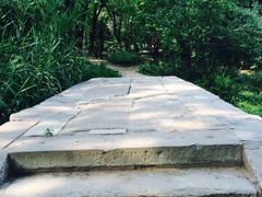 畅观楼-北京动物园-畅观楼