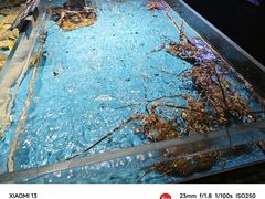 -徐记海鲜(大雁塔|金都店)