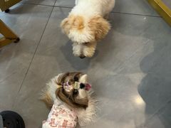 -Orgy Palace轰趴馆(仓山万达店)
