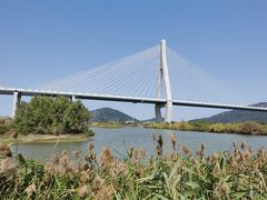 -芒洲湿地公园