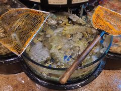 -陶陶居海鲜酒家(新马路店)