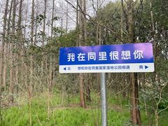 -同里国家湿地公园