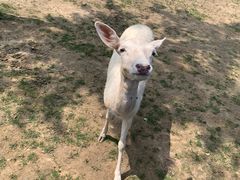 -野鸭湖国家湿地公园